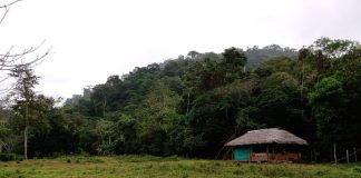 Bajo Cauca